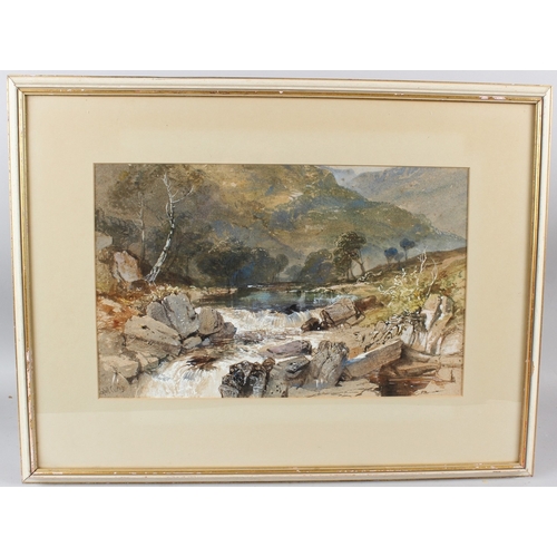 Lot 43        