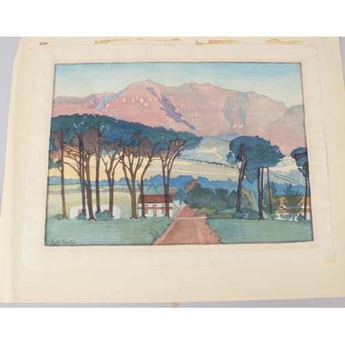 Lot 50        