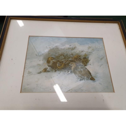 2432 - A pair of framed and glazed prints of Arctic scenes.