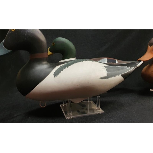 2012 - Three modern decoy ducks on acrylic stands.