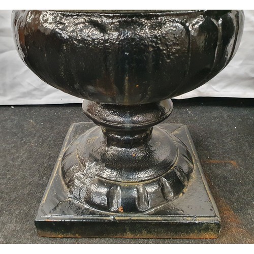 246 - A pair of black painted cast iron Griechen style garden urns 59cm high 52cm diameter.