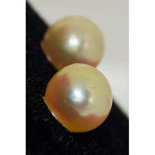 588 - Pair of cultured pearl studs set in silver