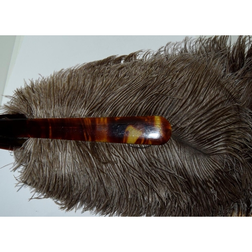 129 - Antique ostrich feather and tortoise shell fan