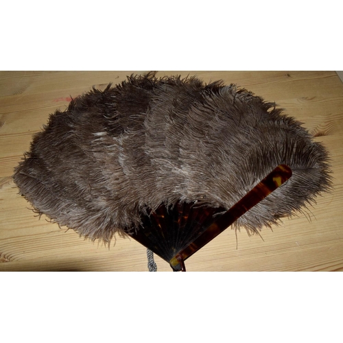 129 - Antique ostrich feather and tortoise shell fan