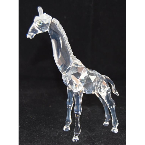 40 - Swarovski Crystal Baby Giraffe from the African Wildlife collection code 236717 retired, boxed with ... 
