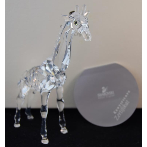 40 - Swarovski Crystal Baby Giraffe from the African Wildlife collection code 236717 retired, boxed with ... 