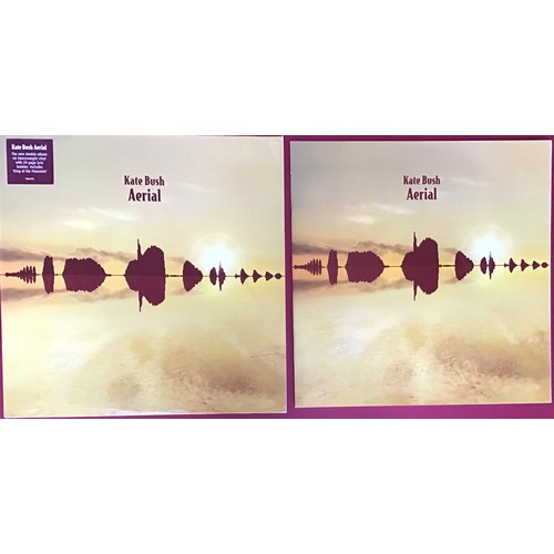 226 - KATE BUSH DBL LP ‘AERIAL’. 2005 1st Press  2 x Vinyl LP Record on KBALP01 with Booklet. Found here i... 