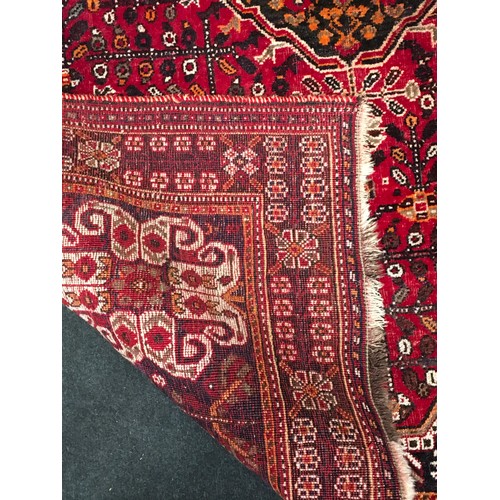 479 - Large Afghan carpet in red and blue 237x160cm.