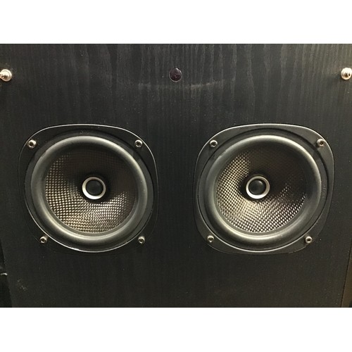 164 - FIDEK IBIGBOY 2 SPEAKER. This floor standing unit has Input Sources for iPod and  FM. It has Speaker... 