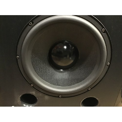 164 - FIDEK IBIGBOY 2 SPEAKER. This floor standing unit has Input Sources for iPod and  FM. It has Speaker... 