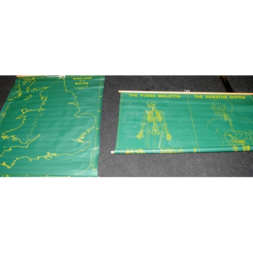 17 - Two large educational wall hanging charts one a map of GB and the other illustrating the circulation... 