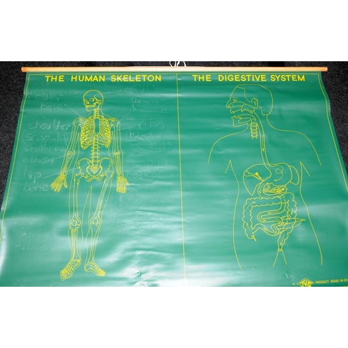 17 - Two large educational wall hanging charts one a map of GB and the other illustrating the circulation... 