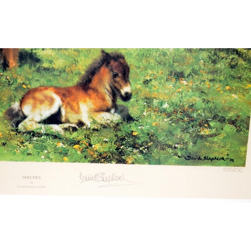 251 - Limited edition David Shepherd print 'Shelties'. 83/1200, signed in pencil and with dealers embossed... 