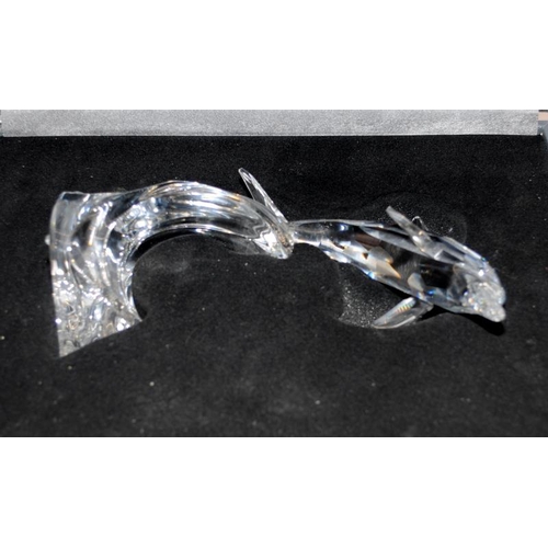 115 - Large Swarovski leaping dolphin c/w protective hard case, no certificate. 22cms tall