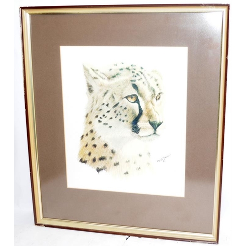 315 - Pair of Peter Bruce framed prints, studies of a Leopard and a Cheetah. Frame size 51cms x 58cms