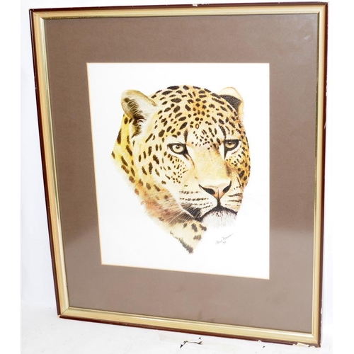 315 - Pair of Peter Bruce framed prints, studies of a Leopard and a Cheetah. Frame size 51cms x 58cms