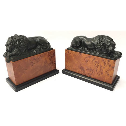 50 - Pair of Vintage bronze Lions mounted on faux birds eye maple bases