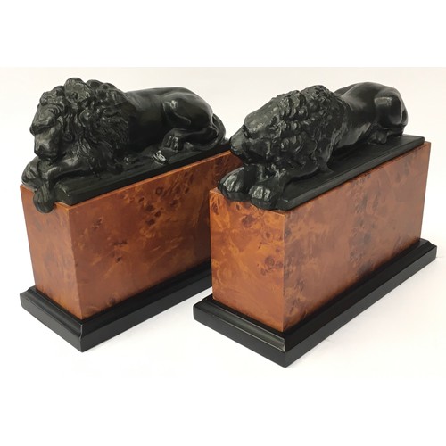 50 - Pair of Vintage bronze Lions mounted on faux birds eye maple bases