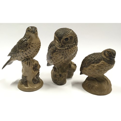 62 - Poole Pottery Barbara Linley Adams medium Barred Owl together with a Quail and Thrush (3).