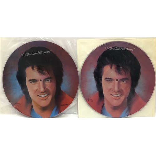 30A - 2 ELVIS PICTURE DISC VINYL RECORDS. Beautiful Elvis Presley picture disc LP’s released back in 1978 ... 