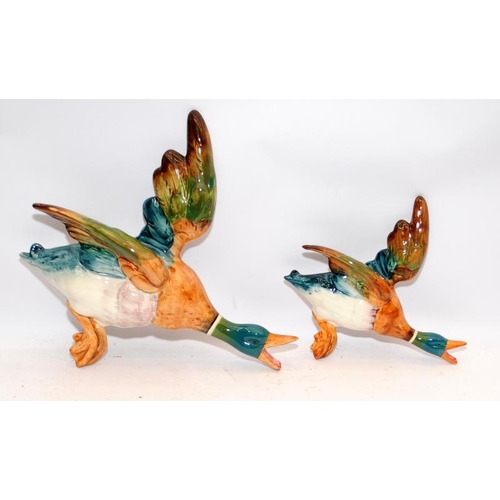 61 - Two Beswick Mallard wall plaques, one large and one small, larger one is 27cms across. Both have uno... 