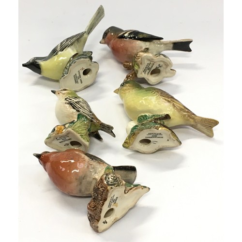 55 - Beswick collection of bird figurines to include chapfinch, goldcrest, wagtail, greenfinch and robin ... 