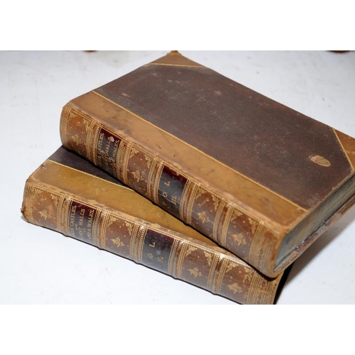 214A - A large collection of classical antique books to include 4 volumes of The Scottish Chiefs, Abbeys, C... 