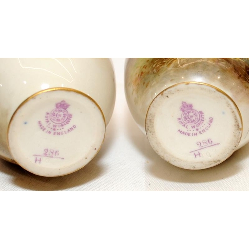 273 - Pair of antique small Royal Worcester blush ivory vases with gilded accents featuring hand painted p... 