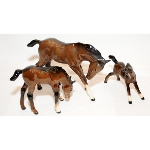 295 - A collection of Beswick glossy Chestnut horses of varying sizes, the largest being 19cms tall. Five ... 