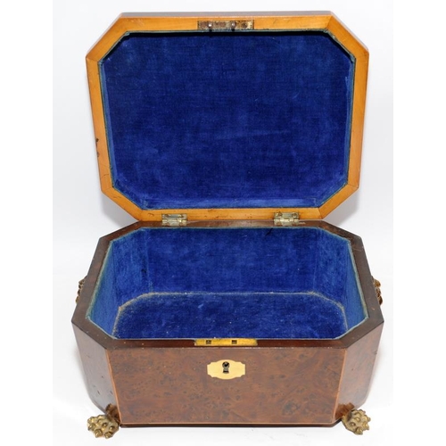 20 - Attractive Regency letter/document box with brass feet and lions head handles. Interior lined with b... 