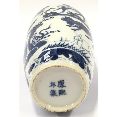 48 - Possible 19th Century Chinese oriental blue and white porcelain vase decorated with images of animal... 