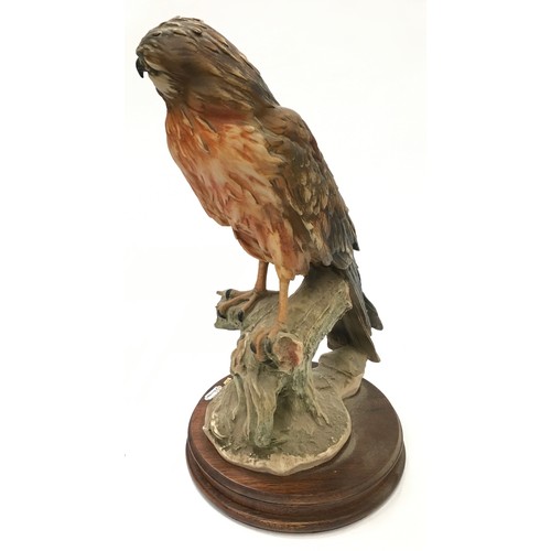 58 - Giuseppe Armani large hawk figure on wooden base 39cm tall.