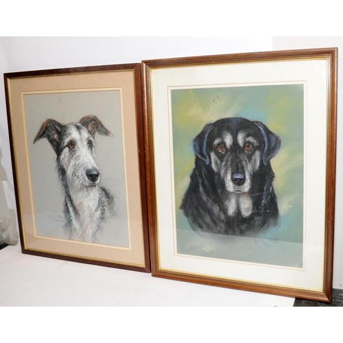 200 - Two large chalk portraits of dogs, both signed and dated by the artist. Frame size 59cms x 49cms