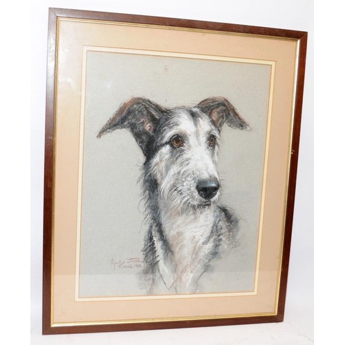 200 - Two large chalk portraits of dogs, both signed and dated by the artist. Frame size 59cms x 49cms