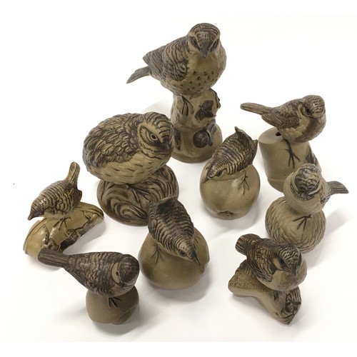 305 - Poole Pottery collection of Barbara Linley Adams stoneware birds (9).