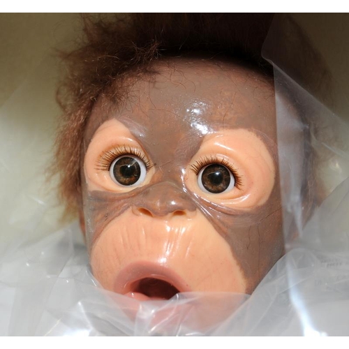 257 - 2 x Ashton Drake lifelike baby Orangutan dolls, Little Umi and Little Risa. Both boxed with certific... 