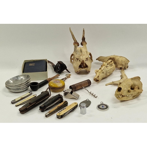 120 - Mixed collectables to include animal skulls, collection of penknives, police whistle etc.