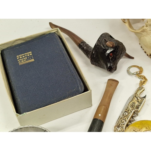 120 - Mixed collectables to include animal skulls, collection of penknives, police whistle etc.