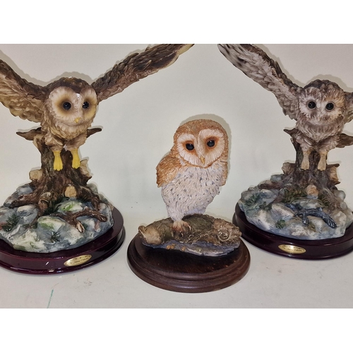 55 - 3x Owl Figures