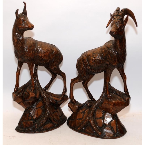 62 - Pair of large Black Forest carved deer. One signed SC Hallbusche 1887. Both around 60cms tall. Both ... 