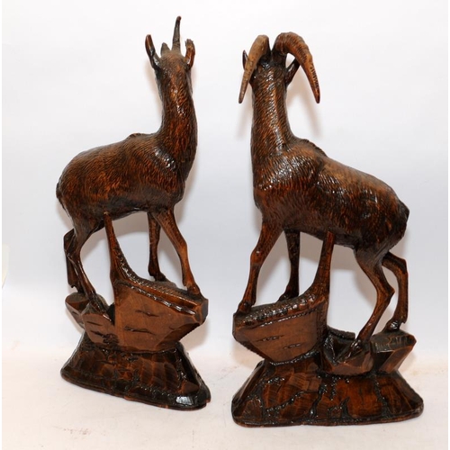 62 - Pair of large Black Forest carved deer. One signed SC Hallbusche 1887. Both around 60cms tall. Both ... 