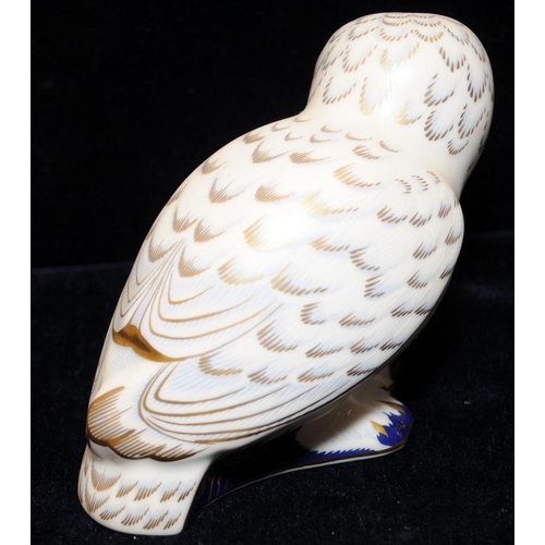 92 - Royal Crown Derby imari paperweight - Snowy Owl Collectors Guild special with gold stopper