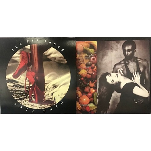 152 - KATE BUSH VINYL LP RECORD ‘THE RED SHOES’. 12