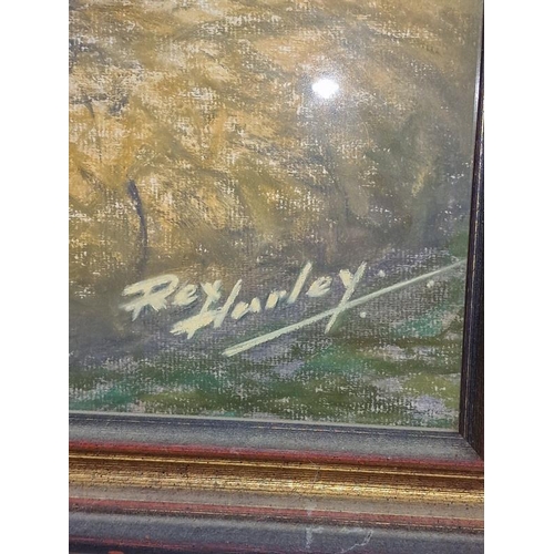 257 - Rex Hurley local artist pastel depicting a cat 55x65cm