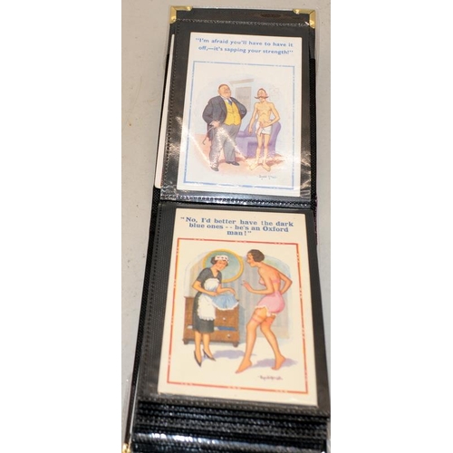 192 - Three albums of vintage postcards to include humorous examples by Donald McGill, Bamforth etc.