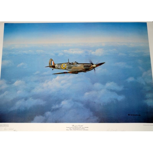 229 - A collection of unframed aircraft prints including limited edition prints signed by the artist and p... 