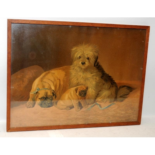 227 - Horatio H Couldery (1832-1918) framed and glazed picture depicting three dogs. Frame size 39cms x 29... 