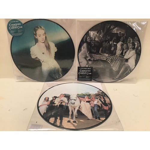 79 - LANA DEL REY PICTURE DISC LP RECORDS X 3. Great Set of vinyls here from Lana Del Rey and depicting v... 