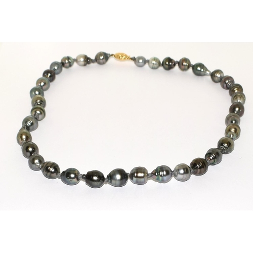 482 - A Real Tahitian grey south sea pearl necklace with 18ct gold clasp, 19