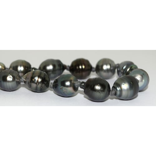 482 - A Real Tahitian grey south sea pearl necklace with 18ct gold clasp, 19